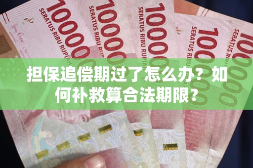 北京担保追偿期过了怎么办？如何补救算合法期限？