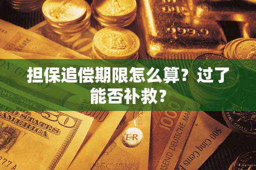 北京担保追偿期限怎么算？过了能否补救？
